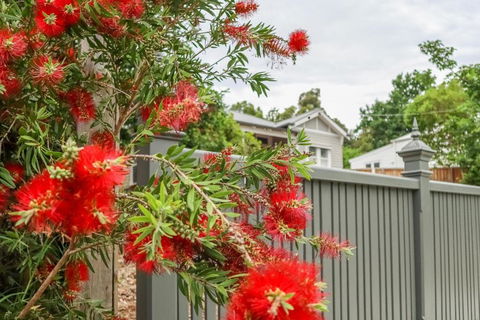 Vintage Charm On St. Leonards - Accommodation Sunshine Coast 5