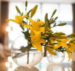 KUI Manhattan Apartments - Accommodation Sunshine Coast