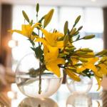 KUI Manhattan Apartments - Accommodation Sunshine Coast 0