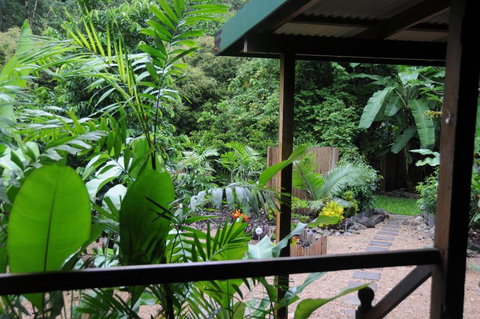 Wildwood - Accommodation Sunshine Coast 3