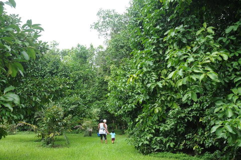 Wildwood - Accommodation Sunshine Coast 1