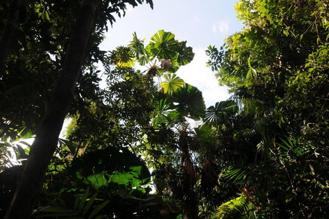 Wildwood - Accommodation Sunshine Coast 5