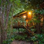 Wildwood - Accommodation Sunshine Coast 0