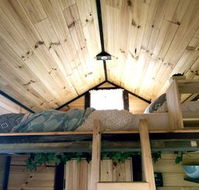 Big Tiny Dale View Tiny House - Accommodation Sunshine Coast