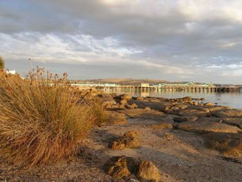 Port Lincoln Holiday Houses - Accommodation Sunshine Coast 4