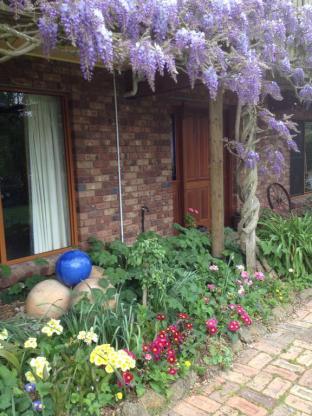 Wisteria Lodge - Accommodation Sunshine Coast 4