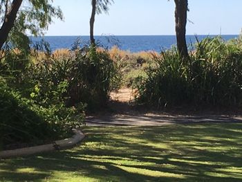 On The Shores Of Geographe Bay - Accommodation Sunshine Coast 5