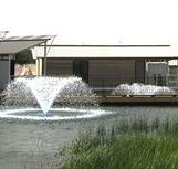 Caves Beachside Hotel - Accommodation Sunshine Coast