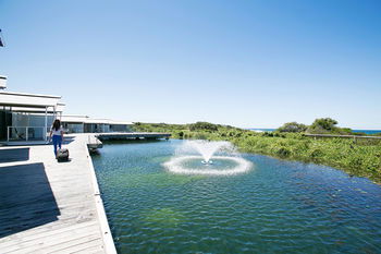 Caves Beachside Hotel - Accommodation Sunshine Coast 6