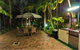Taste Of The Tropics - thumb 2