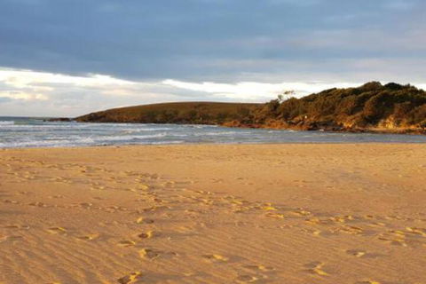 Eagles Loft - Accommodation Sunshine Coast 5