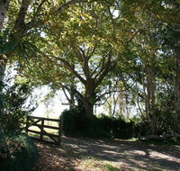 Maleny Mountain Retreat - Accommodation Sunshine Coast