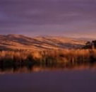 Wombat Hills Cottages - Accommodation Sunshine Coast
