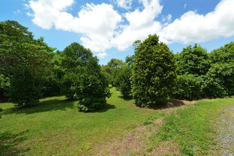 Tea Tree Cottage - Accommodation Sunshine Coast 5