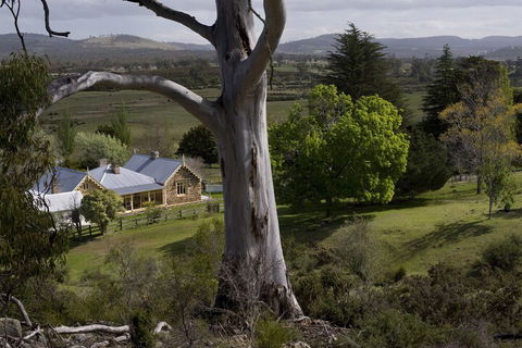 Brockley Estate - Accommodation Sunshine Coast 6