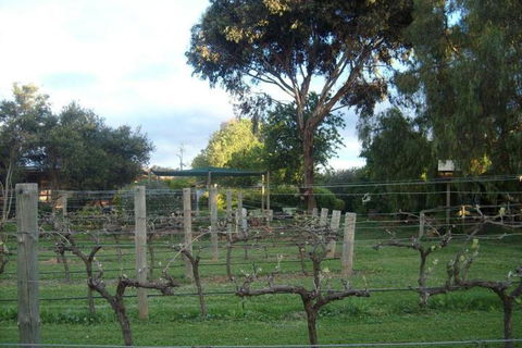 Southern Vales Bed & Breakfast - Accommodation Sunshine Coast 7