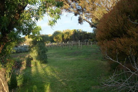 Southern Vales Bed & Breakfast - Accommodation Sunshine Coast 2