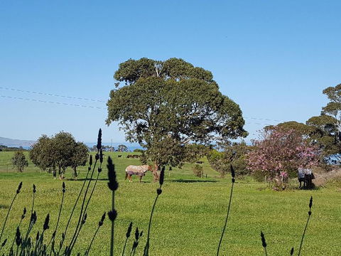 Dees Villa Bed & Breakfast - Accommodation Sunshine Coast 6