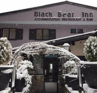 Black Bear Inn - Accommodation Sunshine Coast