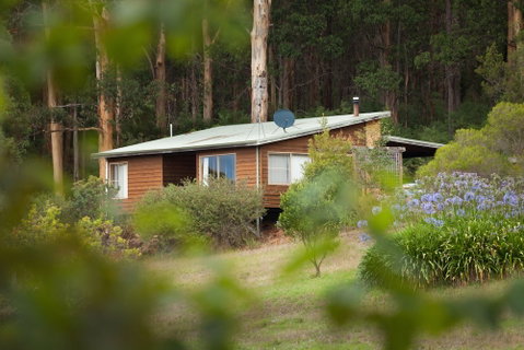 Bombina Cottages - Accommodation Sunshine Coast 2