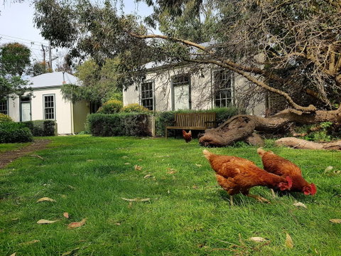 Clonmara Country House & Cottages - Accommodation Sunshine Coast 1
