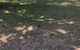 Dunk Island View Caravan Park - thumb 3
