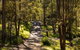 Cottages On Mount View - thumb 3