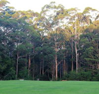 Tinglewood Cabins - Accommodation Sunshine Coast
