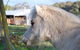 Billa Billa Farm Cottages - thumb 3