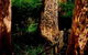Billa Billa Farm Cottages - thumb 2