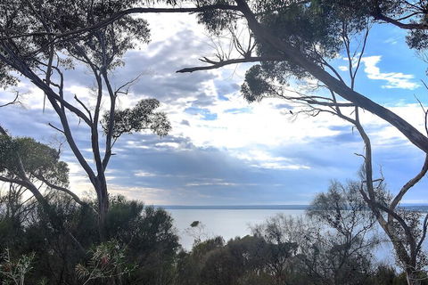 Wanderers Rest Of Kangaroo Island - Accommodation Sunshine Coast 7