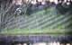 Bettenays Margaret River - thumb 4