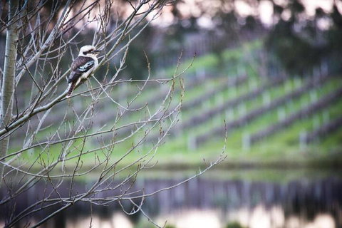 Bettenays Margaret River - Accommodation Sunshine Coast 4