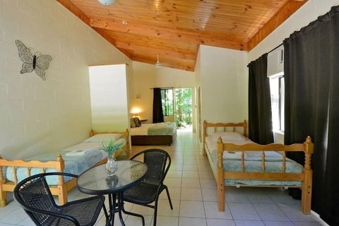 Lync Haven Rain Forest Retreat - Accommodation Sunshine Coast 3