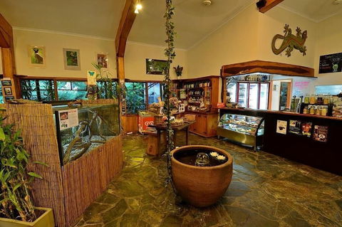 Lync Haven Rain Forest Retreat - Accommodation Sunshine Coast 0