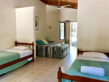 Lync Haven Rain Forest Retreat - Accommodation Sunshine Coast 6