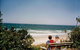 Anoyster On The Beach Sawtell - thumb 5