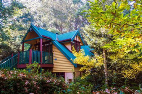 Arnica Views - Accommodation Sunshine Coast 0