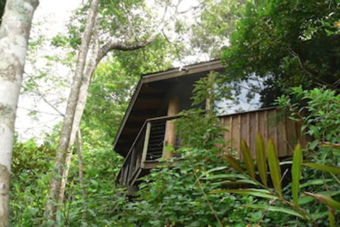 Mt Quincan Crater Retreat - Accommodation Sunshine Coast 5