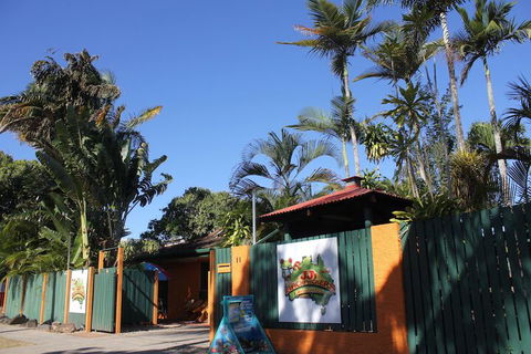 JJs Backpackers Hostel - Accommodation Sunshine Coast 1