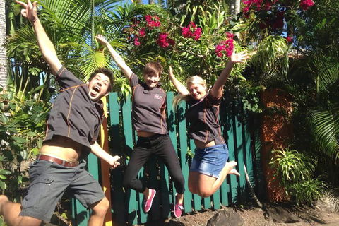 JJs Backpackers Hostel - Accommodation Sunshine Coast 6