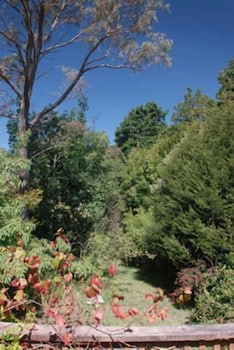 Leura Lady - Accommodation Sunshine Coast 3