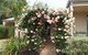 Baudins Of Busselton B & B - thumb 3