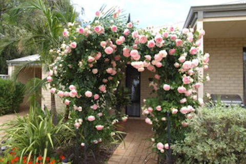 Baudins Of Busselton B & B - Accommodation Sunshine Coast 3
