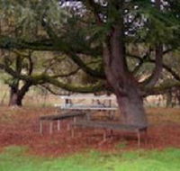 Auburn Shiraz Motel - Accommodation Sunshine Coast