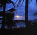 Sejala Beach Huts - Accommodation Sunshine Coast