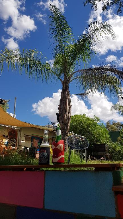 Alices Secret Travellers Inn - Accommodation Sunshine Coast 1