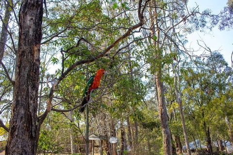 Kalimna Woods Cottages - Accommodation Sunshine Coast 2