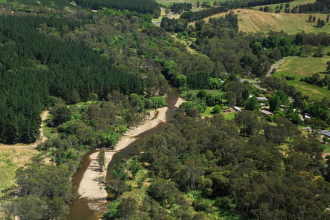 Buffalo Motel & Country Retreat - Accommodation Sunshine Coast 5