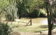 Kellys Motel Oakey - thumb 5
